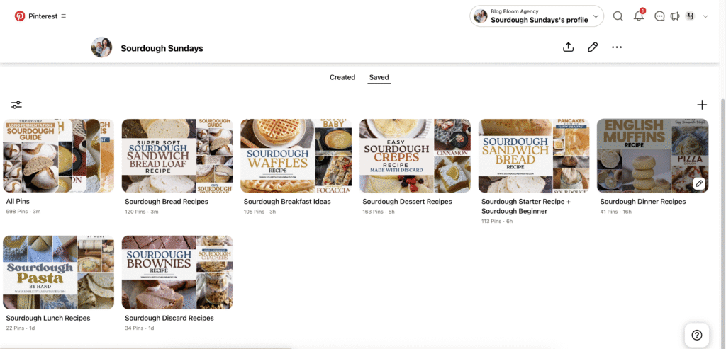 an account showing limited  pinterest boards