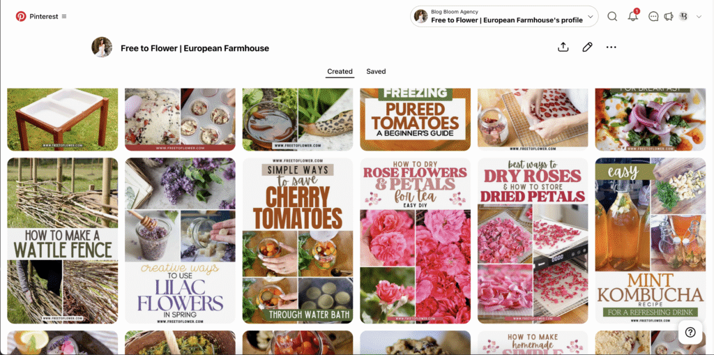 an account with created pins